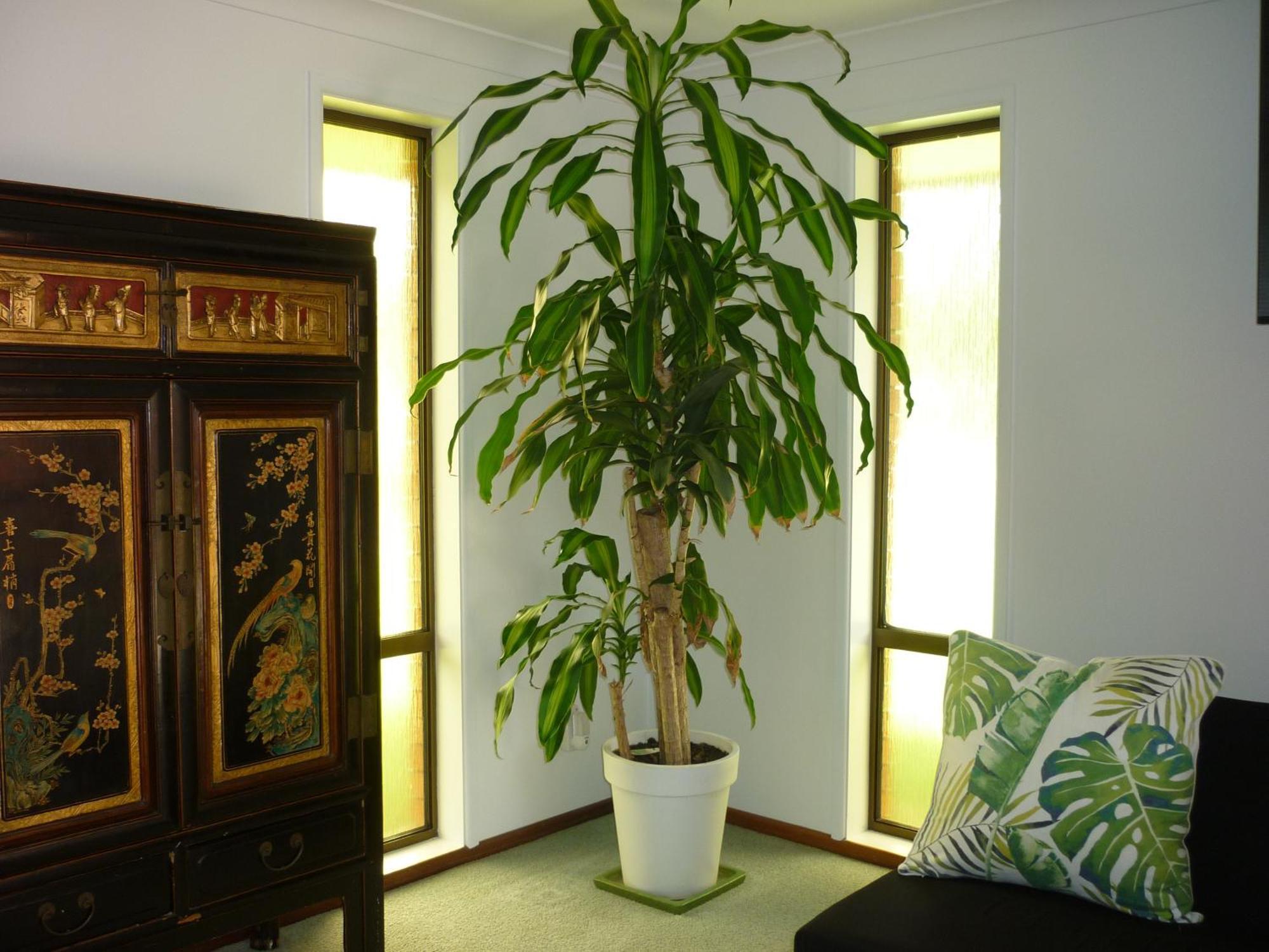 Appartement Bill'S à Coffs Harbour Extérieur photo
